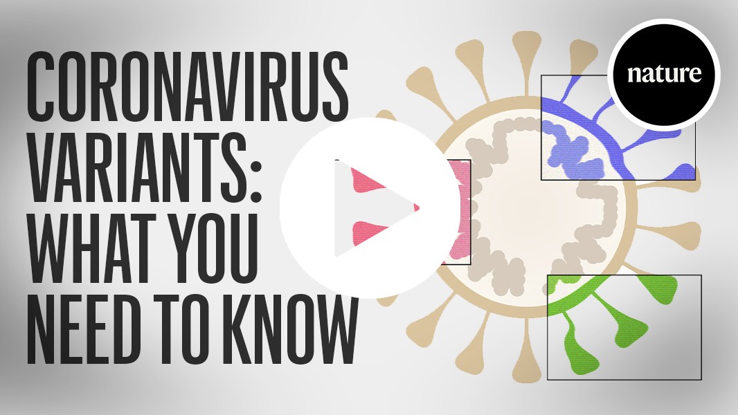 Coronavirus variants: what viral mutants mean for the pandemic