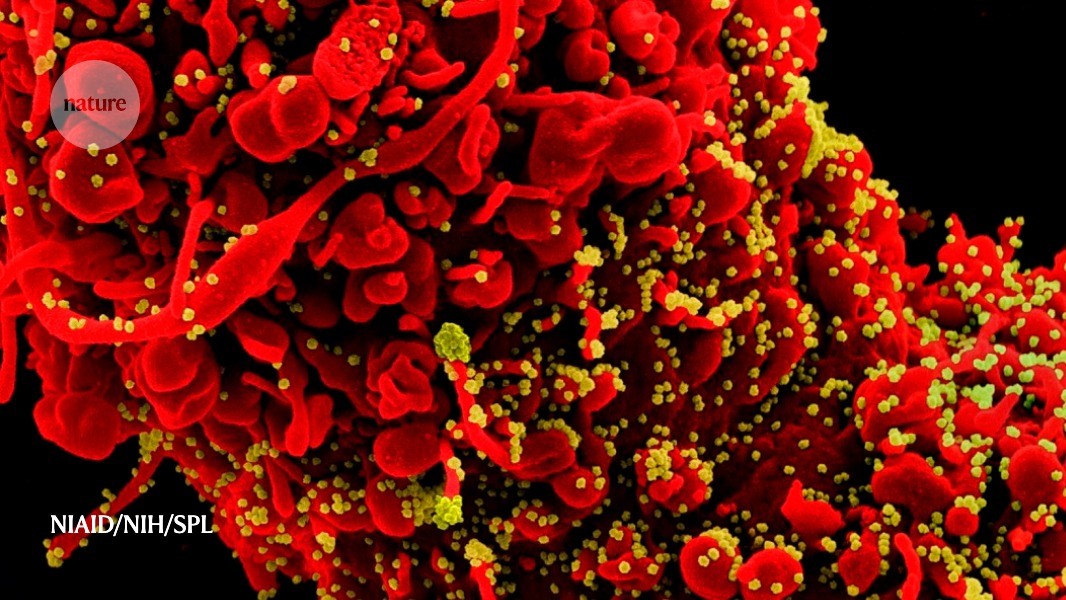 Scientists identify long-sough...