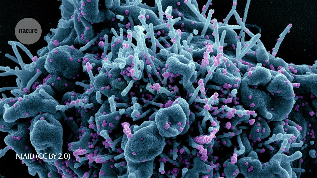 Tiny particles could make a po...