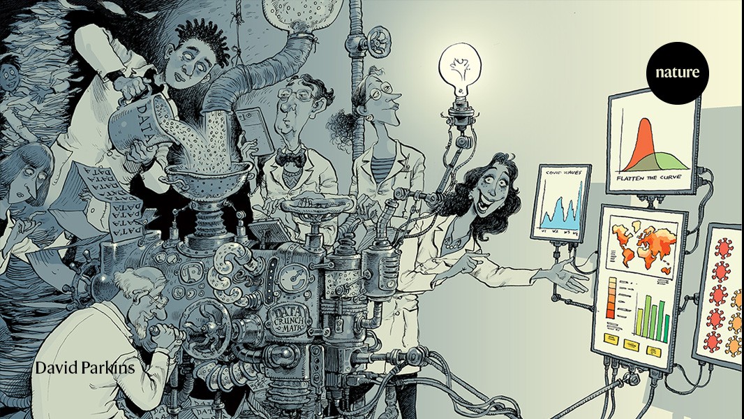 Lessons from the COVID data wizards | Nature