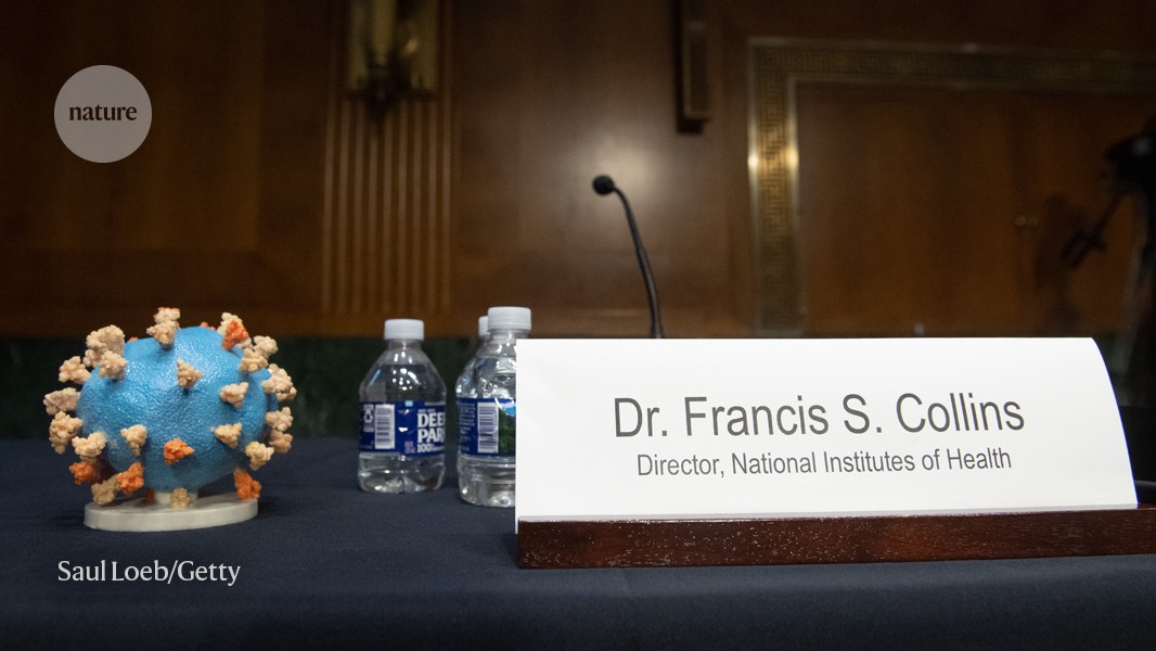 Four lessons from the pandemic to reboot the NIH | Nature