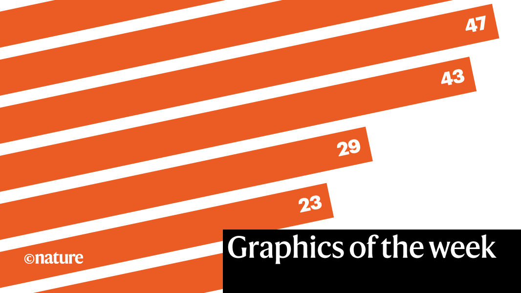 Grad students’ long overtime , and more — this week’s best science ...
