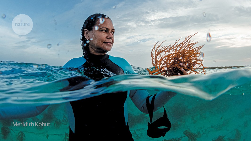 I helped to broker a historic deal to protect the seas | Nature