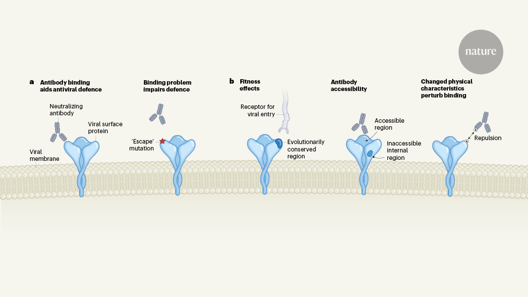 Learn from the past to predict viral pandemics | Nature