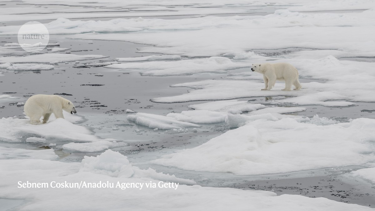 Climate and conservation science persevere in the face of major challenges