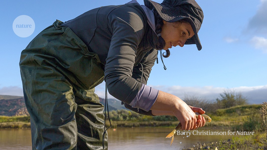 How I’m protecting Clanwilliam sandfish