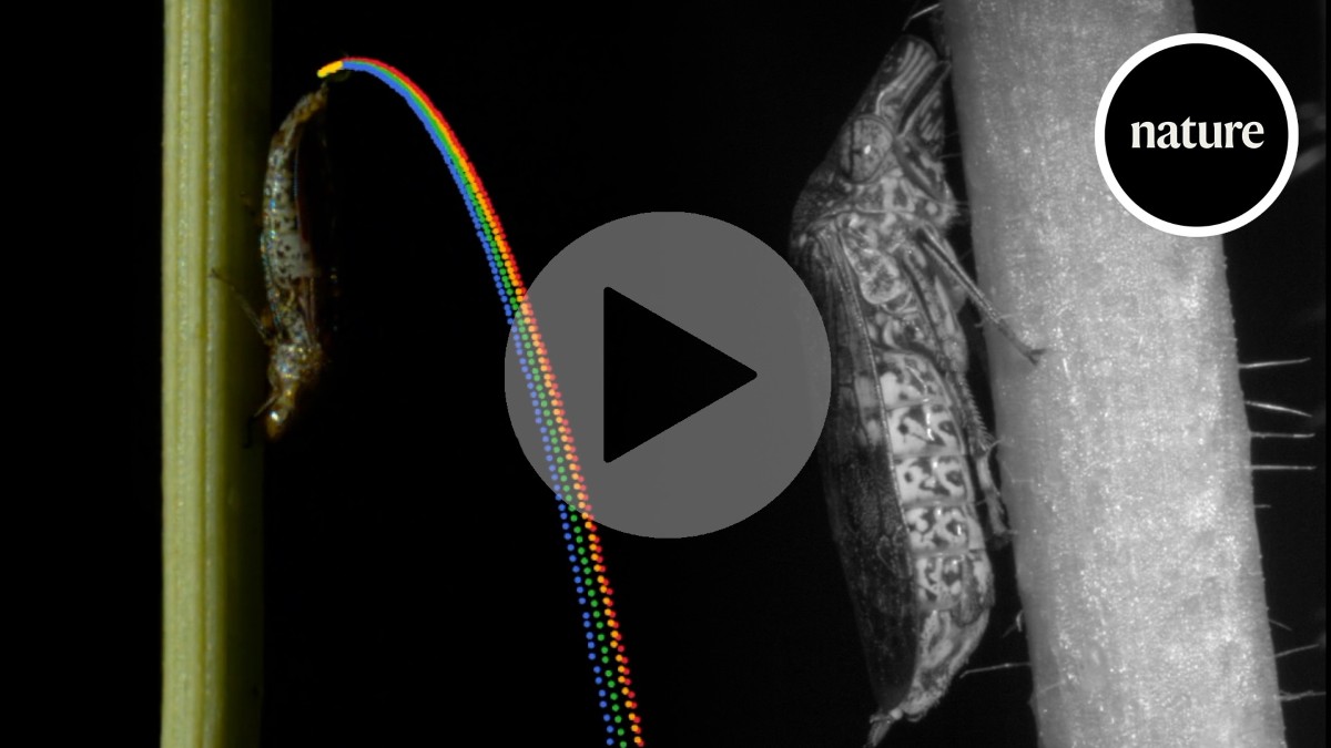 Super-propulsion: how sharpshooting insects flick their pee