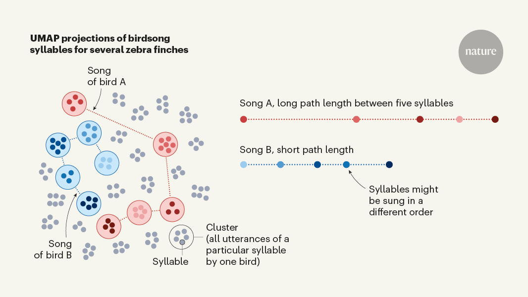 Birds convey complex signals in simple songs | Nature