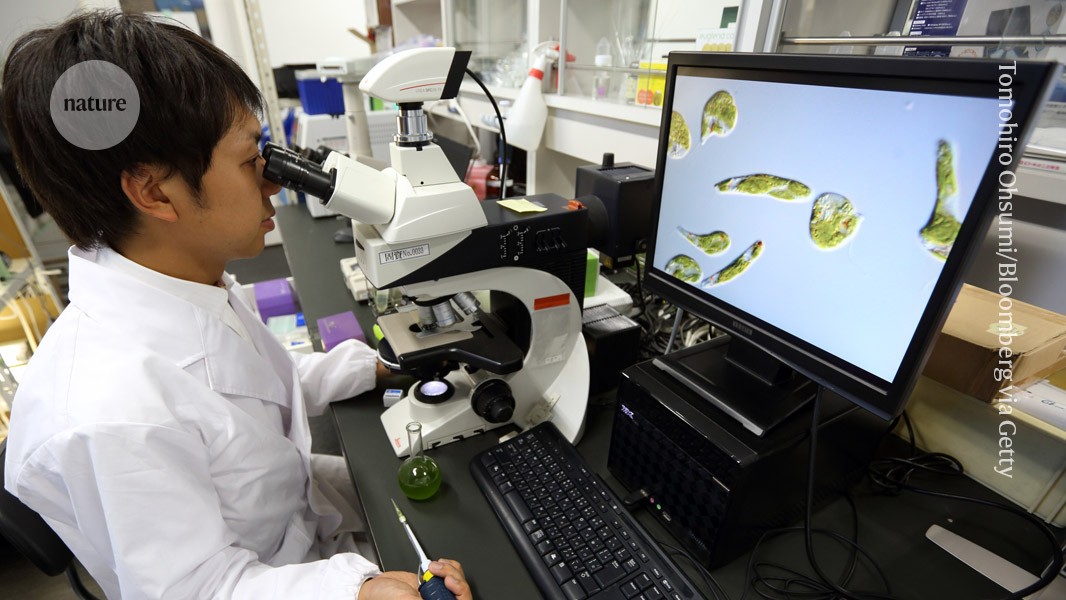 日本の科学者が基礎科学にもっと資金を求める