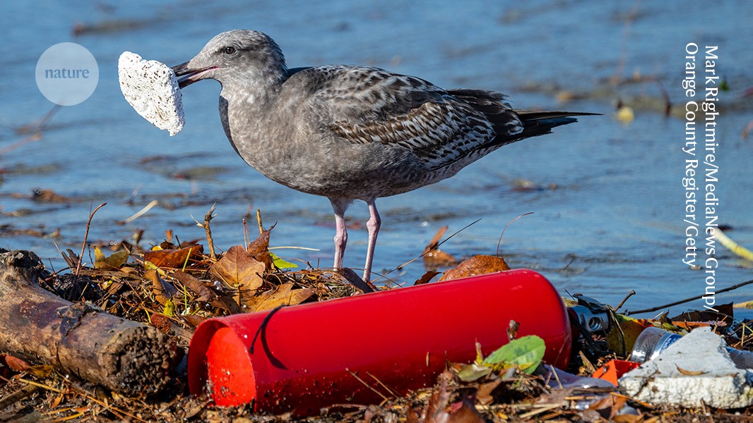 Every year, 6 million tonnes of plastic waste ends up in the rivers and on coastlines. Credit: Mark Rightmire/MediaNews Group/Orange County Register/G