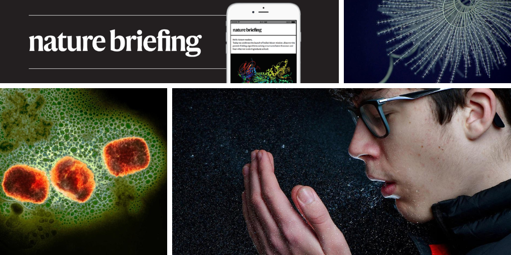Daily briefing: The origins of bioluminescence in animals date back over half a billion years
