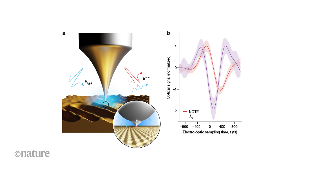 Quantum tunnelling of electrons brings ultrafast optical microscopy to the atomic scale
