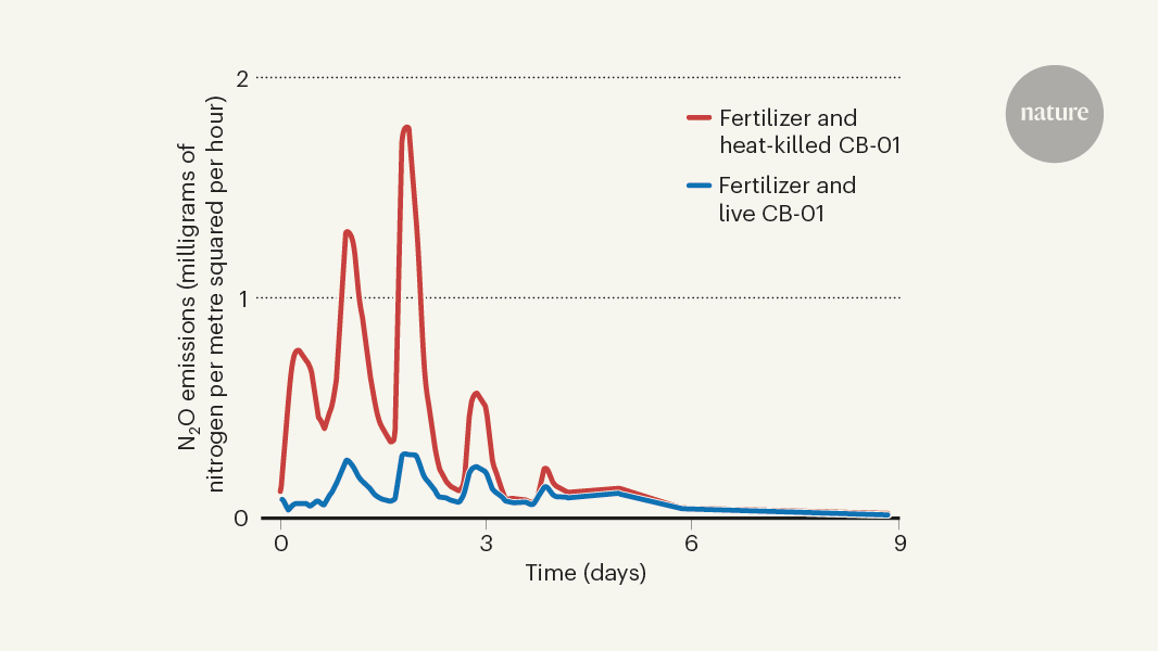 Nitrogen-hungry bacteria added to farm soil curb greenhouse-gas emissions