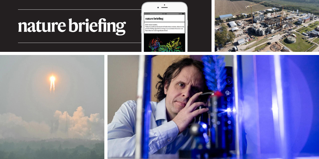Daily briefing: A millimetre of brain in spectacular detail