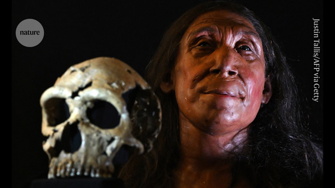 Neanderthal–human baby–making was recent — and brief