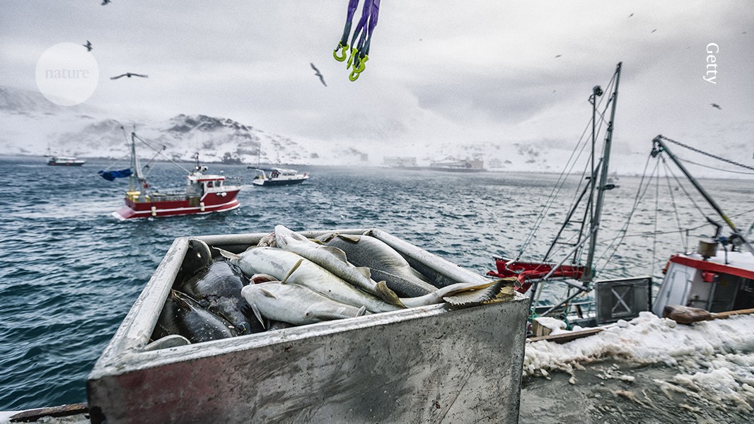 Dumping, pillaging and slavery — why exploitation of the high seas must end