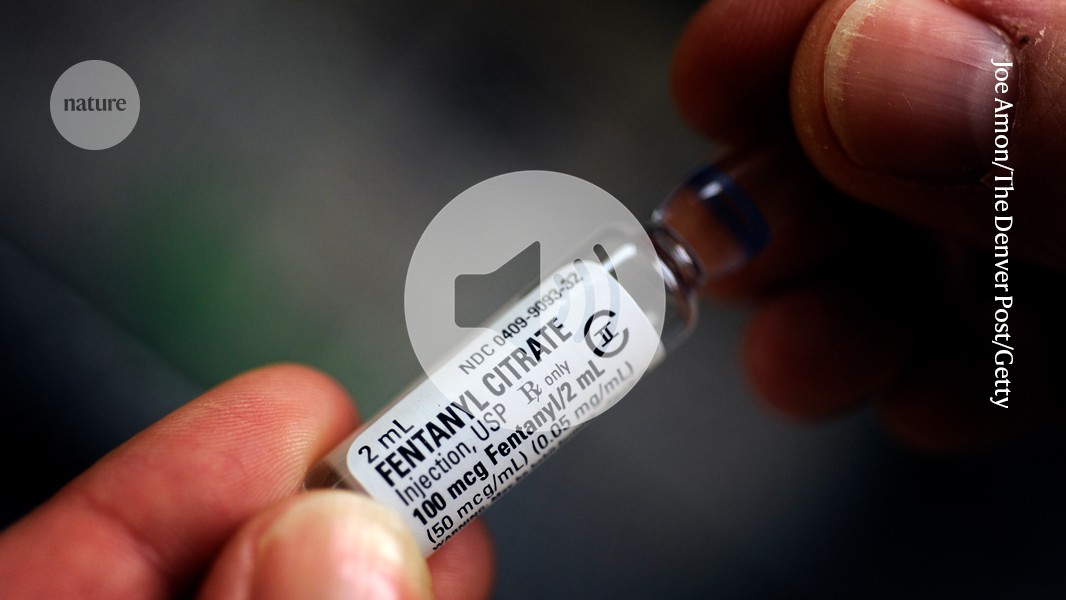 Fentanyl addiction: the brain pathways behind the opioid crisis