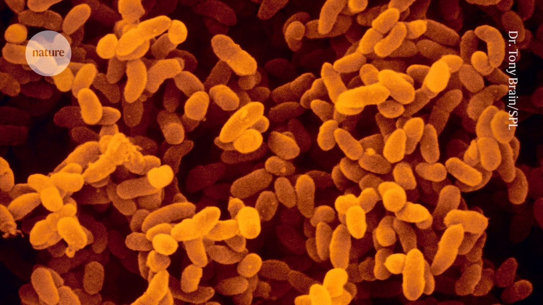 ‘Smart’ antibiotic can kill deadly bacteria while sparing the microbiome