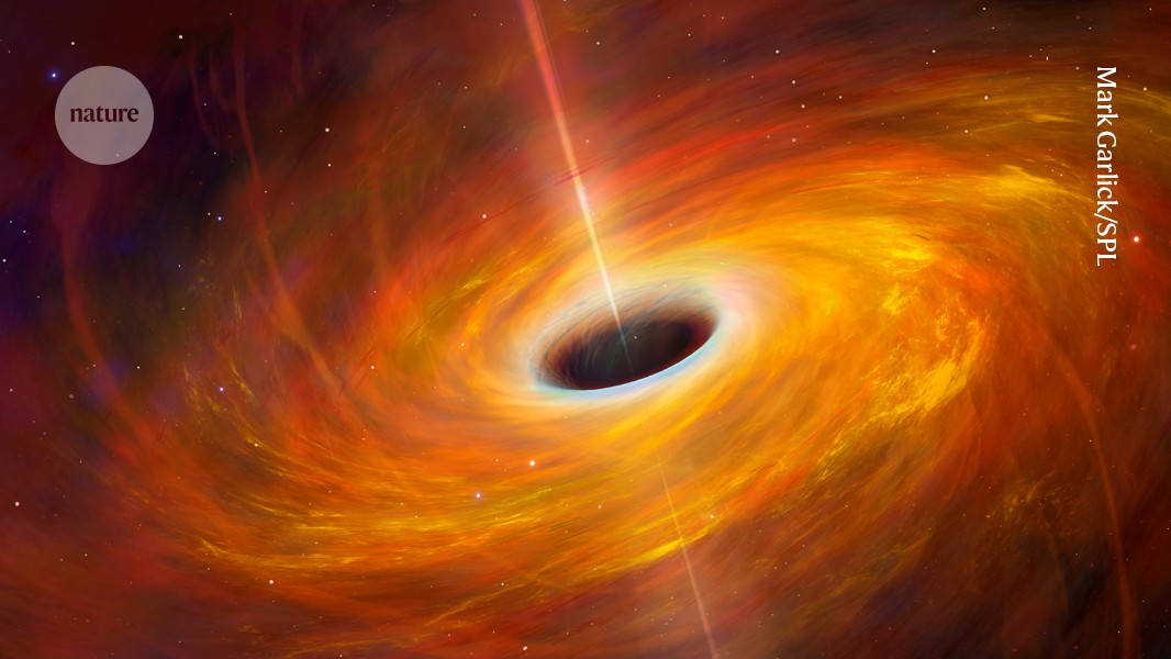 How huge black holes sprouted just after the Big Bang