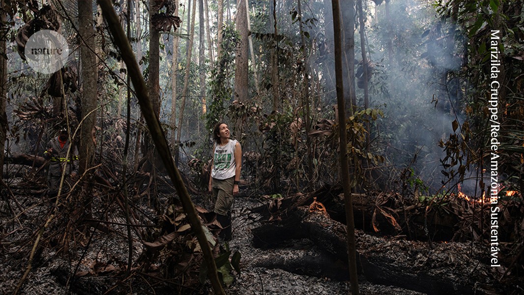 ‘Who will protect us from seeing the world’s largest rainforest burn?’ The mental exhaustion faced by climate scientists