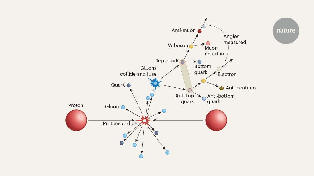 Quarks show that quantum entanglement holds at high energies