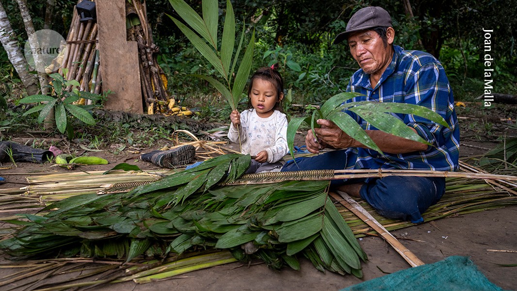 No basis for claim that 80% of biodiversity is found in Indigenous territories