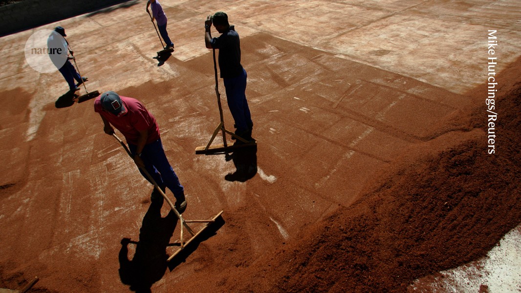 How to support Indigenous Peoples on biodiversity: be rigorous with data