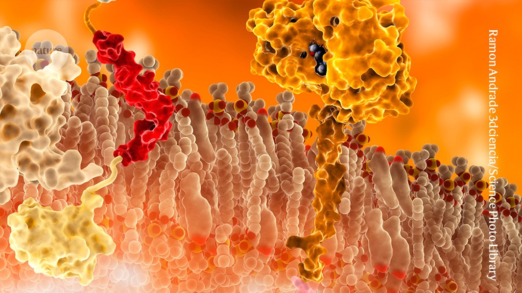 1999: Identifying the key enzyme β-secretase