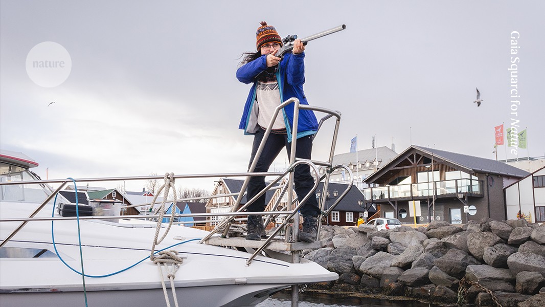 I fire darts at whales to help track their movements