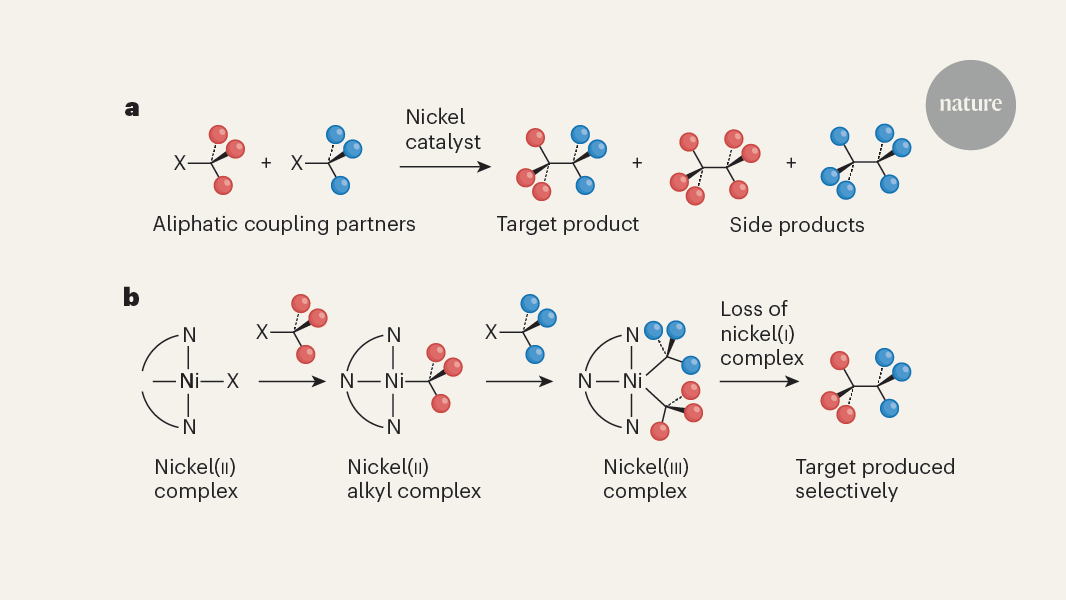 Reaction for coupling 3D molecular fragments expands the chemist’s toolkit