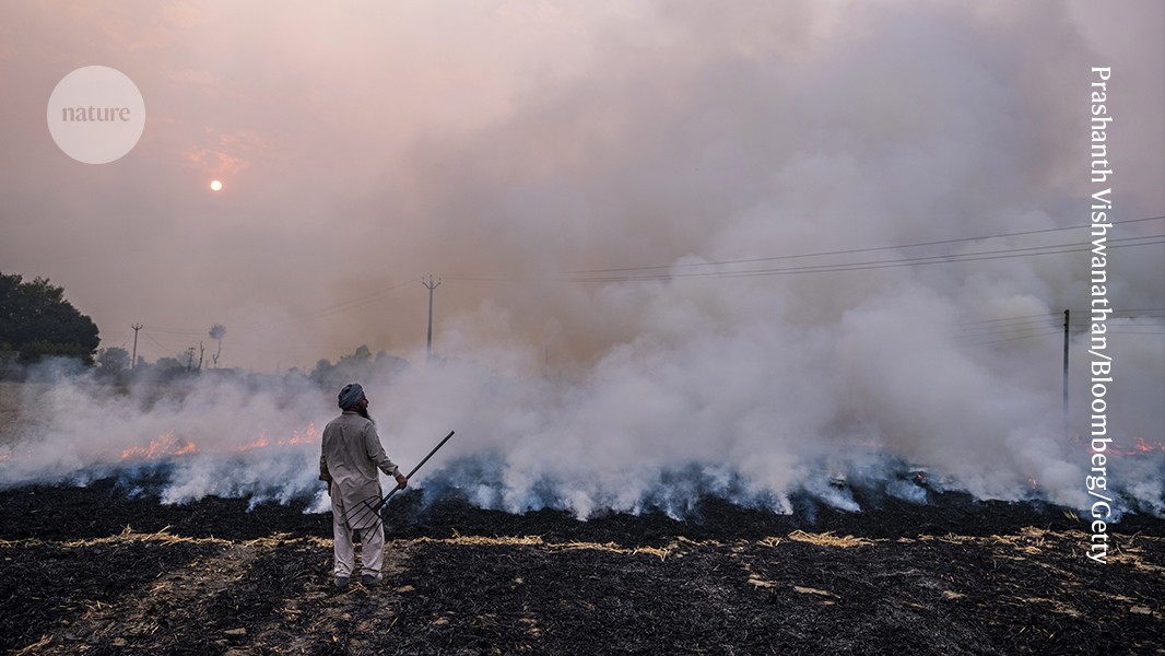 Local government actions can curb air pollution in India and Pakistan