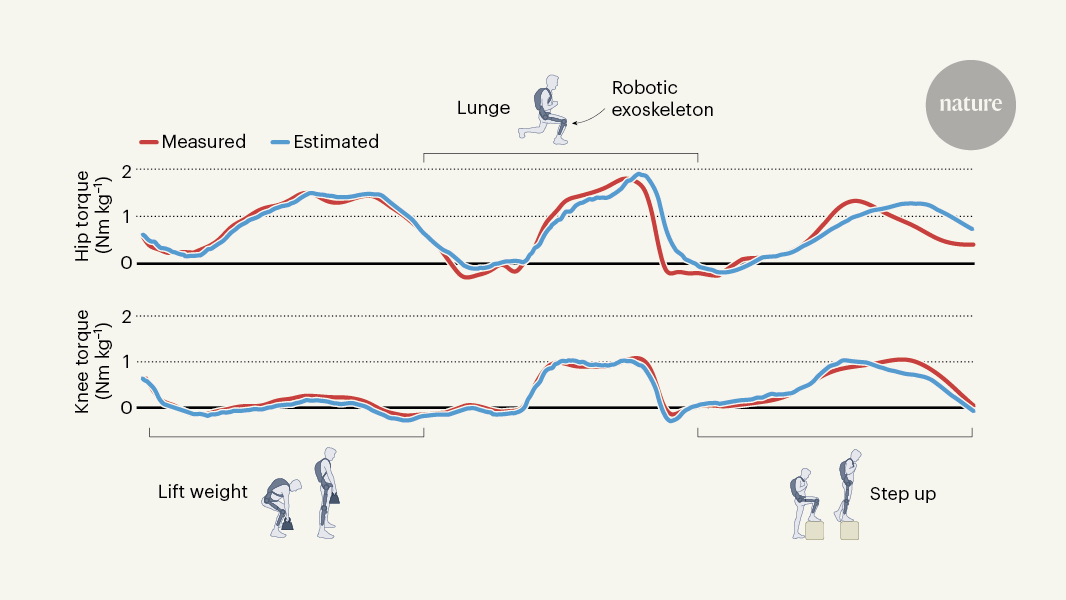 Robotic exoskeleton adapts to changes in leg movements in real time