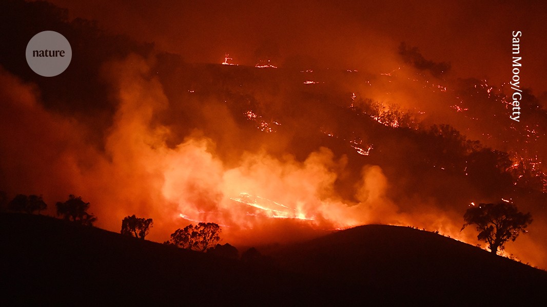 Australian megafires drove complex biodiversity outcomes