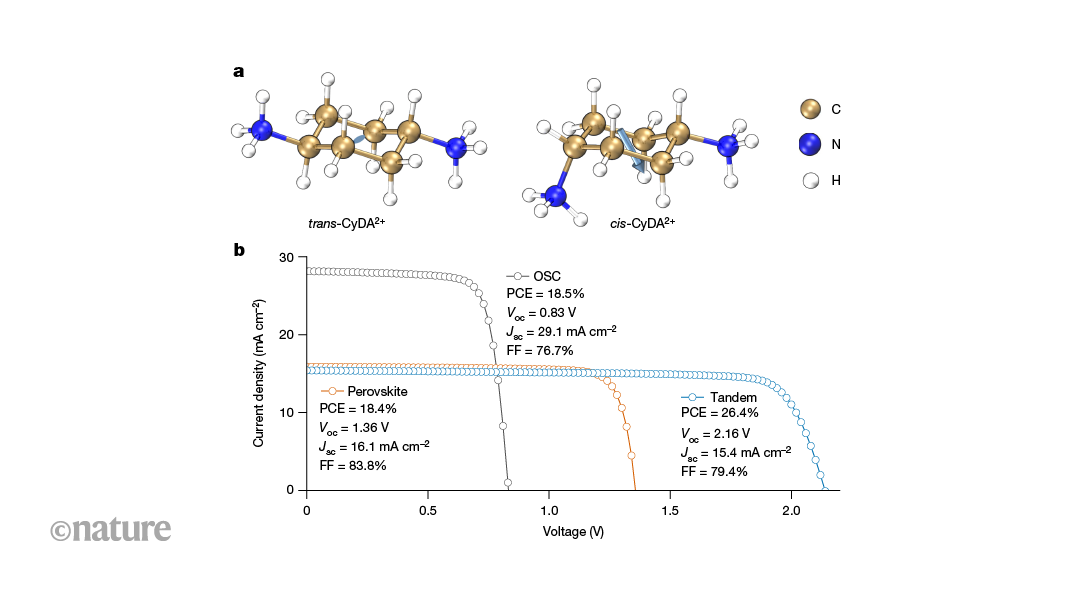 High-performance perovskite–organic tandem solar cells