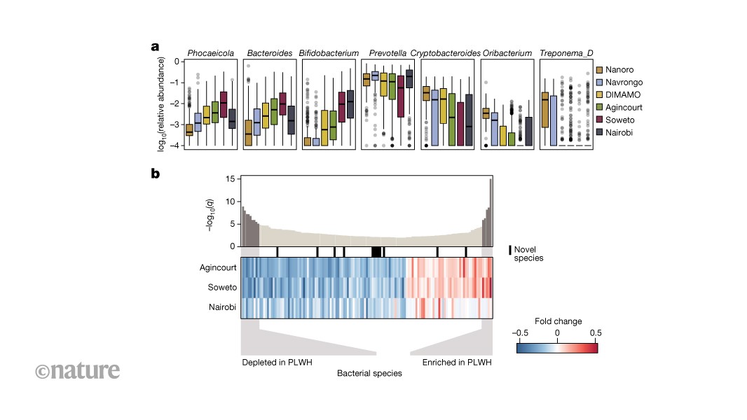 Unveiling Africa's Gut Microbiome: How Geography, Lifestyle and Health Intersect