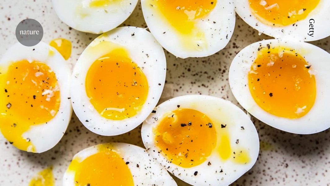 How to make the perfect egg: give it lukewarm baths