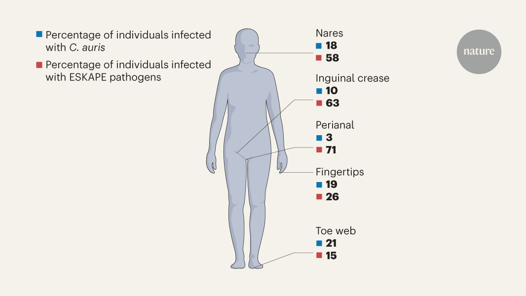 Nursing-home residents’ skin is a source of transmitted harmful and drug-resistant microbes