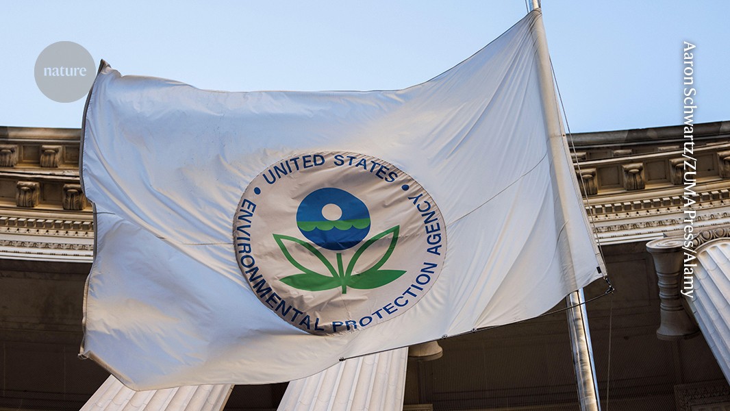 ‘Targeted and belittled’: scientists at US environmental agency speak out as layoffs begin