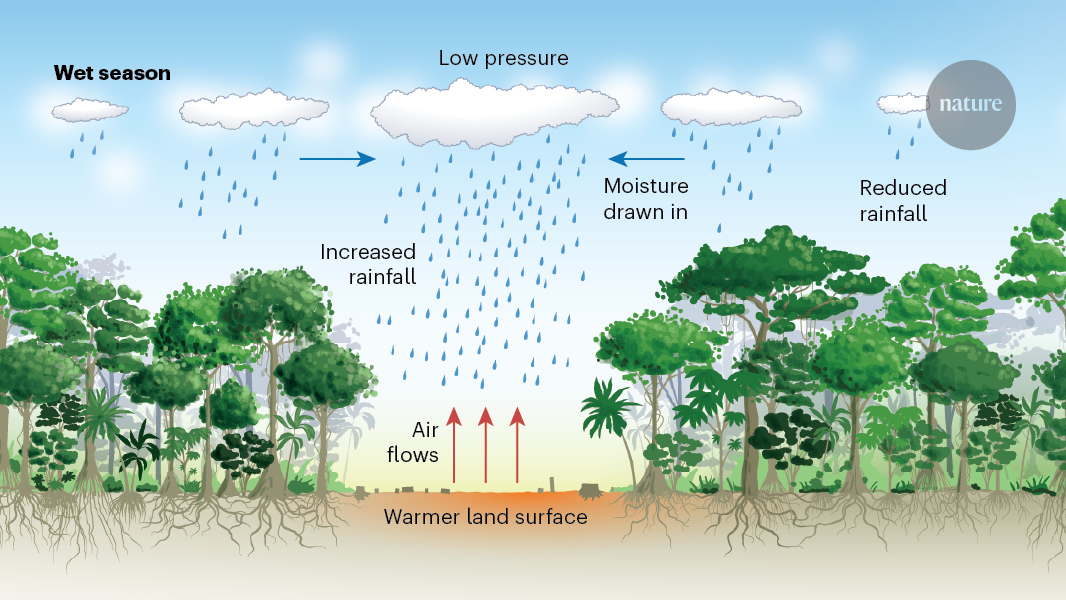 Amazonian deforestation makes the wet season wetter, and the dry season drier