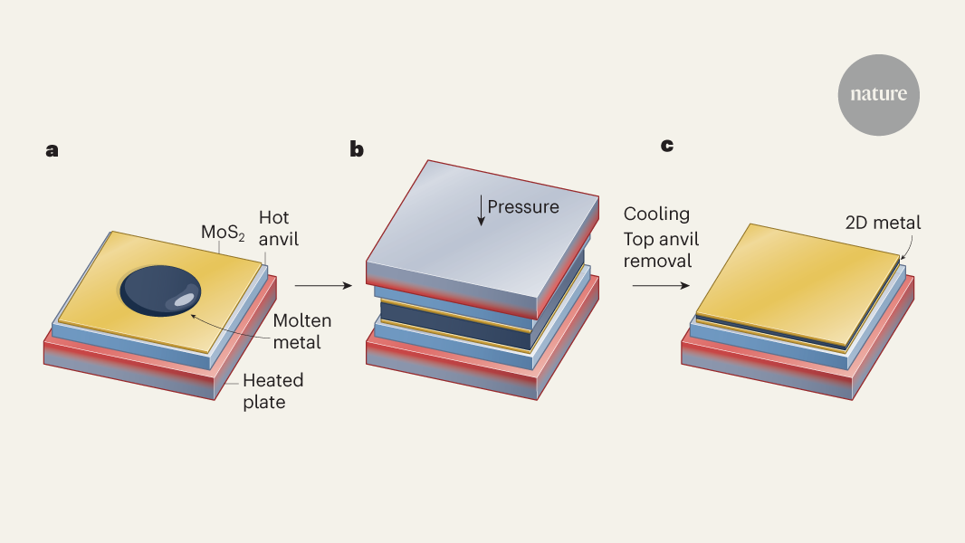 Metals squeezed to thickness of just two atoms