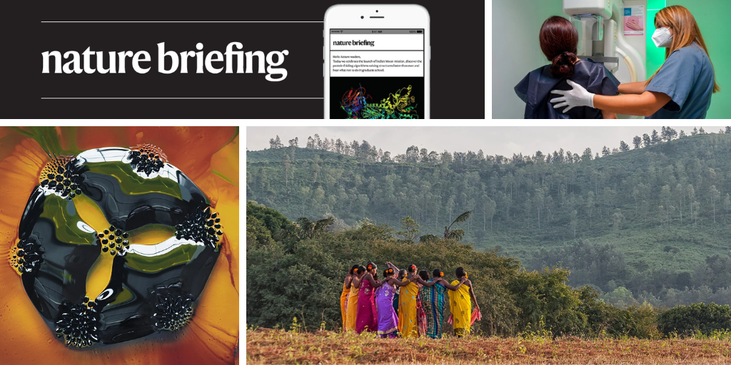 Daily briefing: What science photos do that AI-generated images can’t