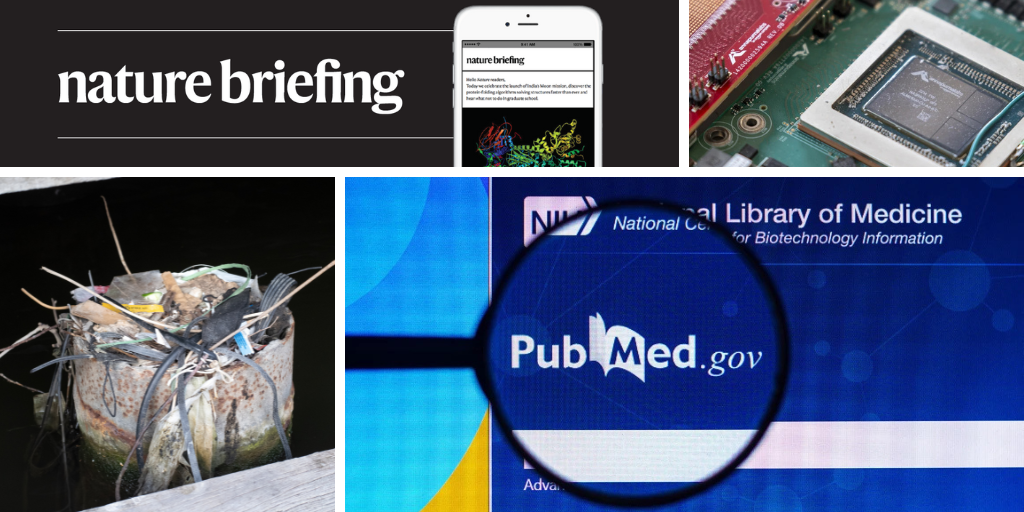 Daily briefing: PubMed blackout stokes fears about database’s future