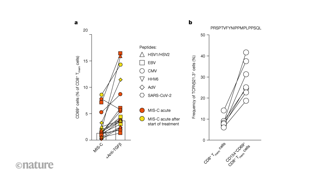 Immune molecule links COVID‑19 with severe inflammatory disorder in children