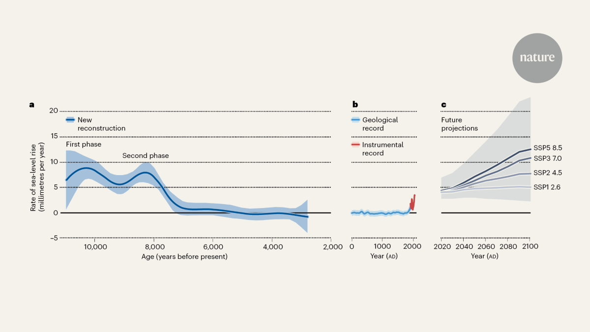 Ancient peat reveals that sea level surged rapidly twice at the end of the last ice age