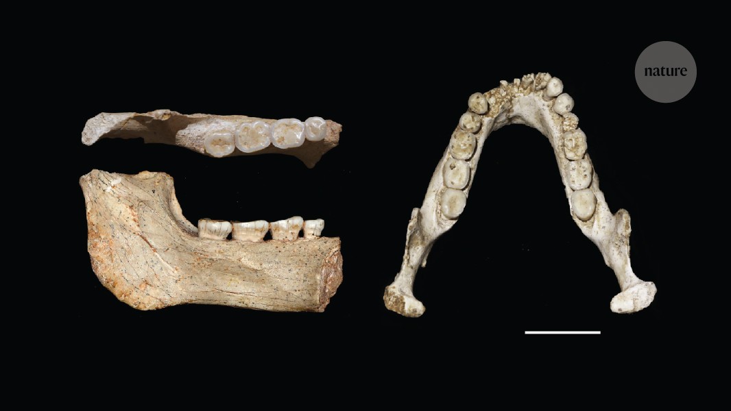 media.nature.com image