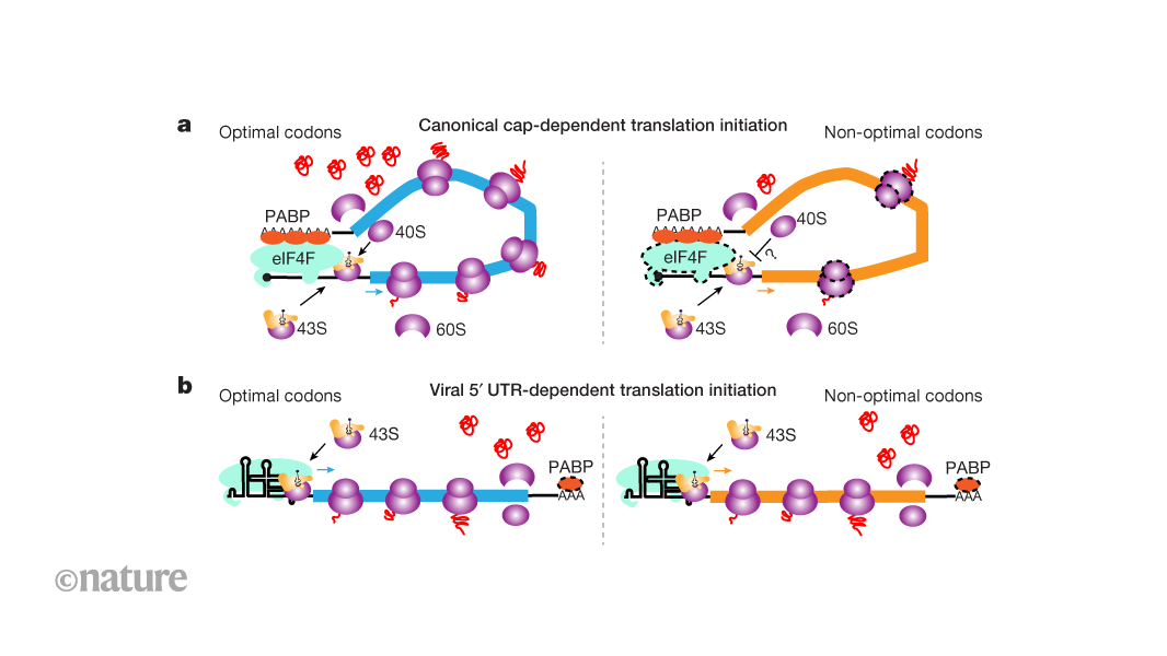 media.nature.com image