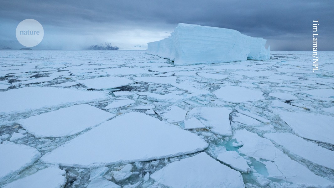 media.nature.com image