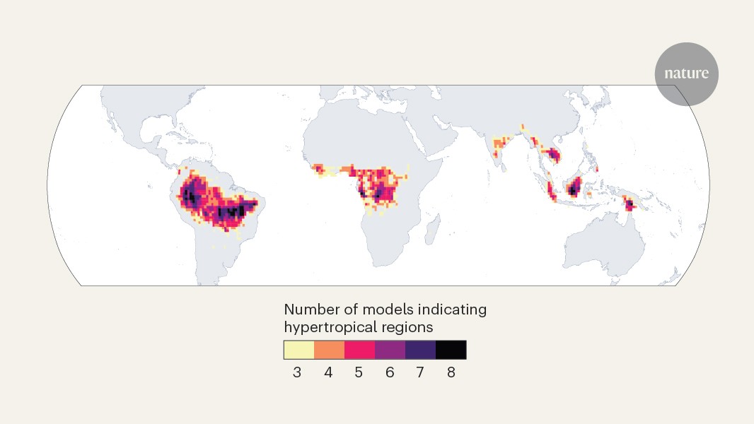 Predicting the fate of tropical forests under intensifying heat