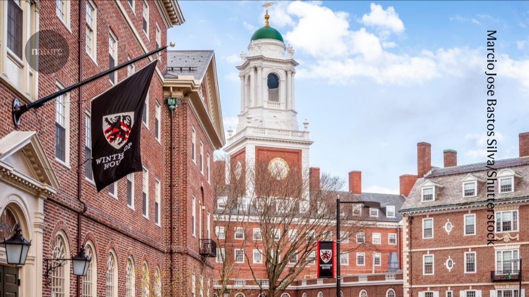 Universities have become property businesses. What does that mean for research?