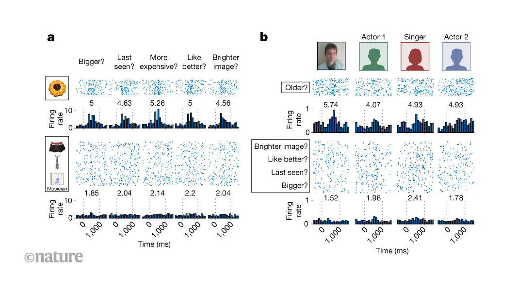 media.nature.com image